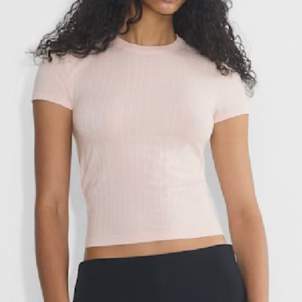 Aritzia - Pointella Seamless Willow T-shirt
